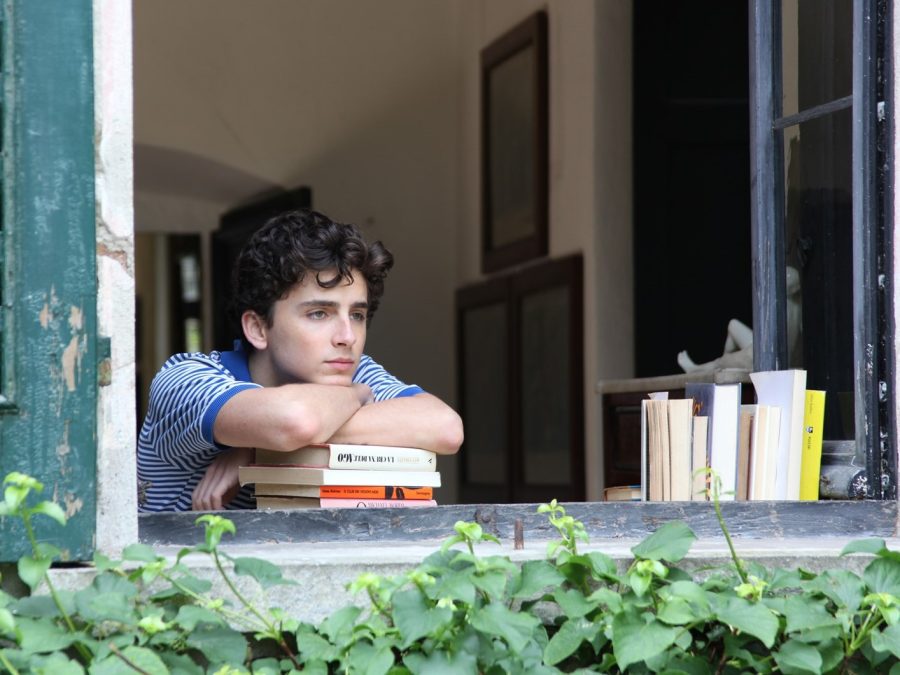 Call Me By Your Name – Director’s Cut #19