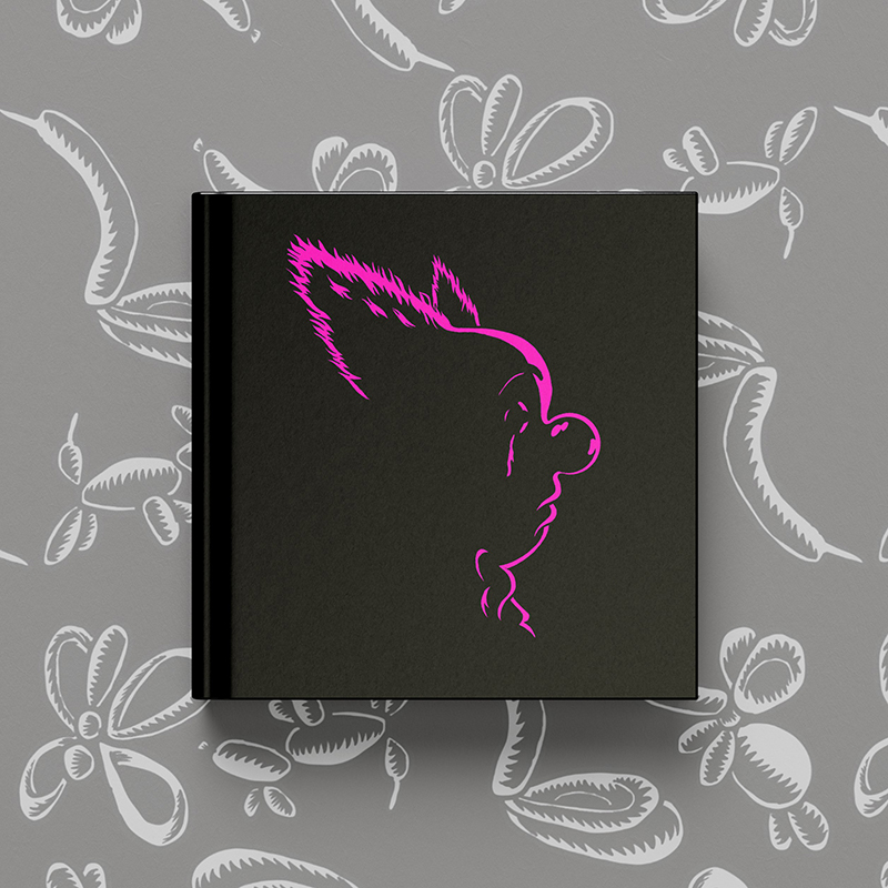 «Nobody Laughs Here Anymore», Εξώφυλλο και οπισθόφυλλο