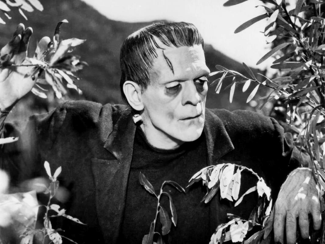 Ο Boris Karloff ως το Πλάσμα στην ταινία «Frankenstein» του James Whale.